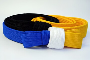 Martial Arts Belts: A Showcase of Ranks in Taekwondo, Judo, Jujitsu, and Karate