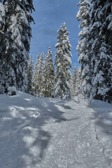 Hiking after a snowy day