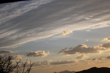 Prescott Arizona Summer Forest Landscape