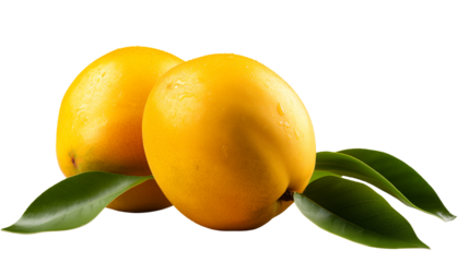 Ripe Yellow Mangoes Juicy Tropical Fruit, Vitamin-Rich and Sweet for Food Displays, isolated on transparent background.