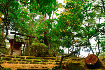 松雲山荘の紅葉（新潟県）