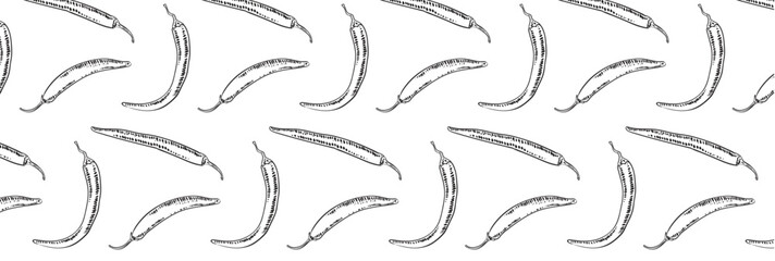 Pattern of hot chili pepper drawn with pencil or ink by hand. Sketch of spice capsaicin dish. Vector seamless background with spicy vegetable.