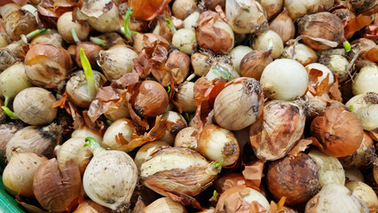 Onions for sale in a supermarket. Onions close-up with selective focus. Vegetables. A pile of onions in the vegetable section of the store