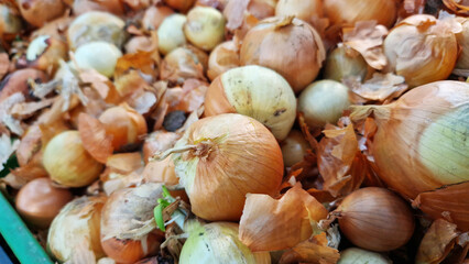 Onions for sale in a supermarket. Onions close-up with selective focus. Vegetables. A pile of onions in the vegetable section of the store