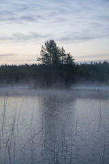 A small island in a foggy lake in spring morning in forests of Finland
