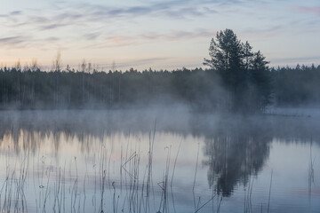A small island in a foggy lake in spring morning in forests of Finland