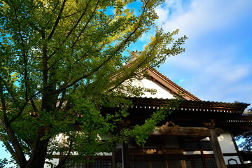 妙蓮寺（新潟県）