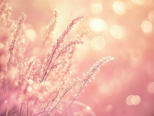 Naklejka premium Pastel Meadow at Dawn: Delicate wild grasses bathed in the soft, rosy glow of sunrise, creating a serene and dreamy landscape.