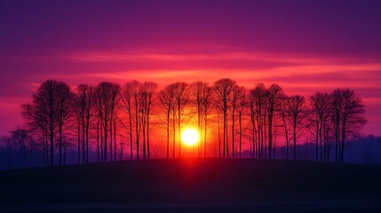 Fototapeta premium Sunset silhouettes, trees, field, vibrant sky, nature