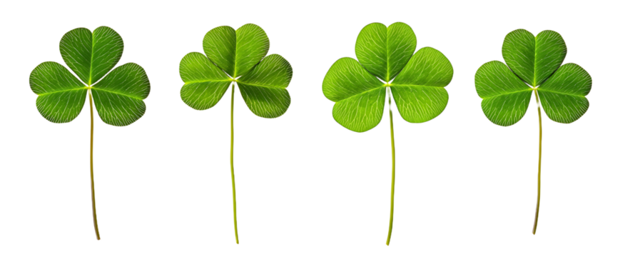 set of green clover leaf isolated on white background
