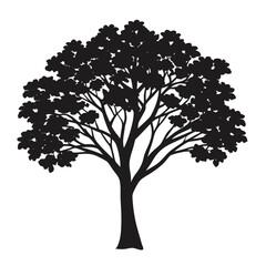 Silhouette of A Jacaranda Tree vector illustration