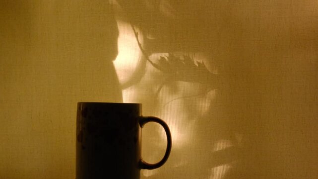 Cup of tea or coffee at the morning, Light and floral shadow, soft blurred sunlight flares. Vintage textile background. Abstract backdrop with crossed lines shadows. Wabi sabi style aesthetics. 