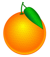 Orange fruit illustration
