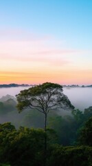 Obraz premium A tree is standing in a forest with a beautiful sky in the background. The sky is a mix of blue and pink, creating a serene and peaceful atmosphere. The fog adds a sense of mystery