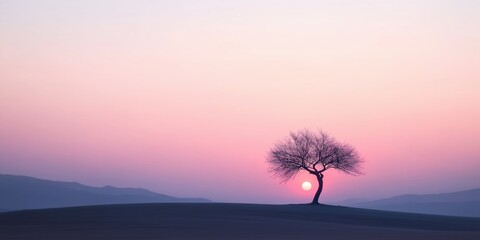 Obraz premium A tree stands alone in a field with a pink and orange sky in the background. The tree is silhouetted against the sky, and the sun is setting in the distance. The scene is peaceful and serene