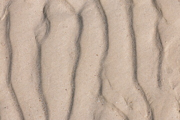 SAND TEXTURE BACKGROUND, HOLBOX, MEXICO 
