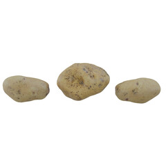 Obraz premium potato's transparent background