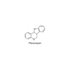 Pterocarpan skeletal structure.Isoflavonoid compound schematic illustration. Simple diagram, chemical structure.