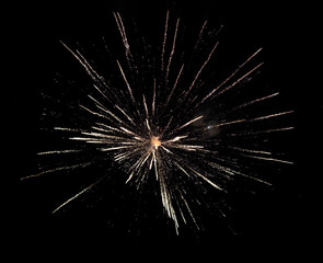 Firework sharp explosion on black background