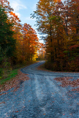 Fototapeta premium Nature Lovers