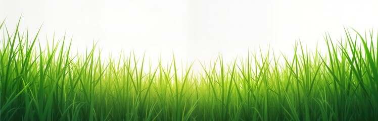 Obraz premium Vibrant green grass field. Rich grass blades fill the image. Outdoor scene ideal for nature lovers. Perfect background for spring or summer themes. Great for websites or social media.