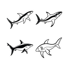 Set of hammerhead shark vector illustration.
