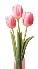 Fototapeta premium This beautiful pink tulip arrangement is perfect for spring celebrations or to brighten your living space