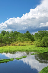 Beautiful, serene landscape with a body of water and trees
