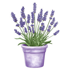 Fototapeta premium Lavender Spring Clipart - Floral Vector Illustration