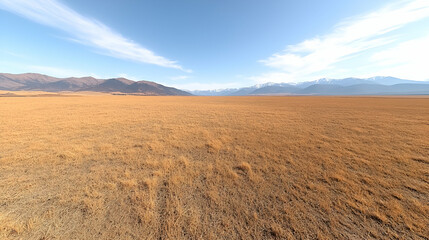 Fototapeta premium Vast steppe landscape under blue sky, mountains background, nature photography