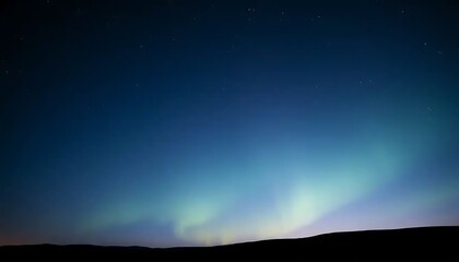 Naklejka premium Night Sky Aurora Borealis Landscape Silhouette