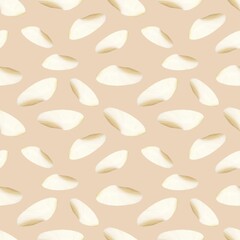 Semirealistic pattern of shell .Hand-drawn shell pattern. Shell isolated pattern for background. Spring, summer, autum season concept, Easter, nature. Design for card, print, and cover.