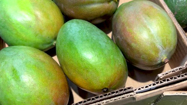 Mango fruits arranged in a cardboard crate, tracking shot on Mango fruit displayed by grocer
