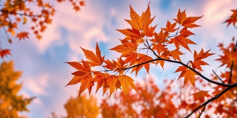 Maple tree branch against a colorful fall sky, vibrant hues, leafy canopy, wooden branches
