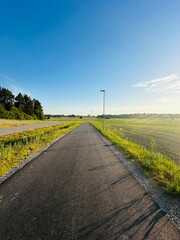 Peaceful spring walk: A tranquil path between trees, offering a moment of calm in nature.