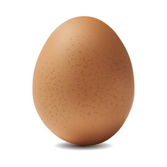 Realistic egg isolated on white background. 3d egg on white background