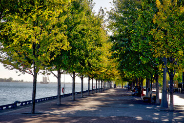 Diminishing perspective view of the bicycle lane in the public park in the waterfront of Toronto