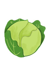 Col fresca ilustrada en digital