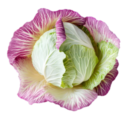 cabbage isolated on white background, full depth of field