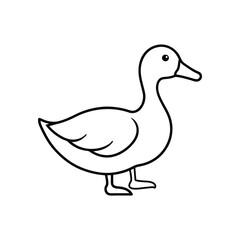 duck illustration vector art isolated on a white background