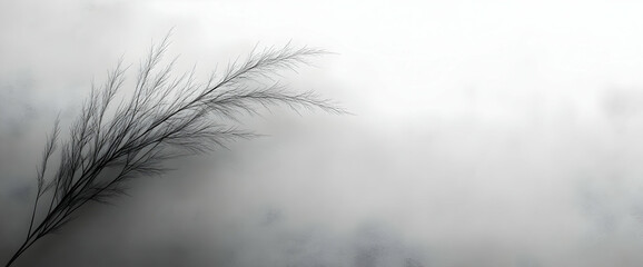 Fototapeta premium Grayscale Abstract Image of a Plant in Mist