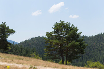 Rhodopes, are a mountain range in Southeastern Europe. Bulgaria. Panorama. The forest area covers the mountains.