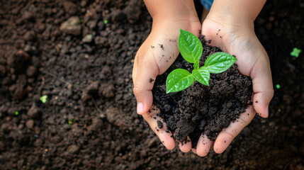 one pair of hands holding a young plant, with a soil background. We see one children hand holding it to. The top half is captured from above. This scene conveys care for nature or environmental protec