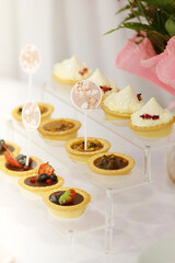 Close-up of sweet table, mono portions, cheesecake, cake pops