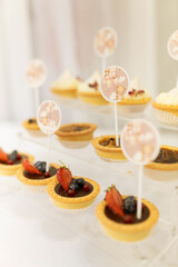 Close-up of sweet table, mono portions, cheesecake, cake pops