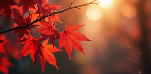 Intricate detail of red maple leaves on thin branches, sunlight filtering through , branch structure, vibrant