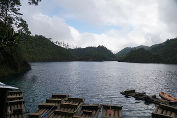 Monte bello lagoons, trees, water, deep blue, beautiful, nature, green, blue, trunks, kayaks,...
