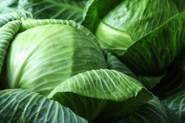Fototapeta premium Ripe heads of cabbages as background, closeup