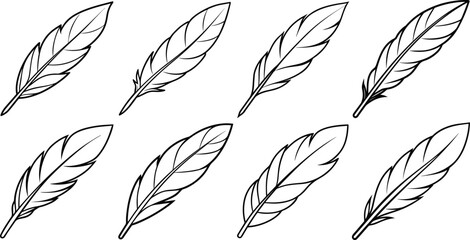 Set of bird feather outline vector illustration