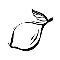 A Simple Line Drawing Of A Lemon With A Leaf